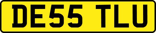 DE55TLU