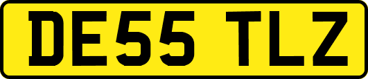 DE55TLZ