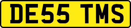 DE55TMS