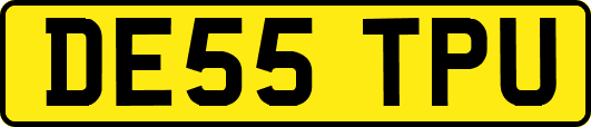 DE55TPU
