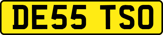 DE55TSO