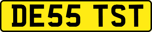 DE55TST