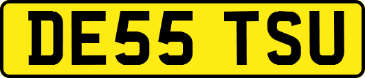 DE55TSU