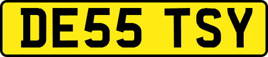 DE55TSY