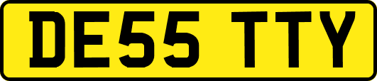 DE55TTY