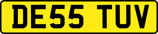 DE55TUV