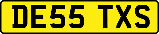 DE55TXS