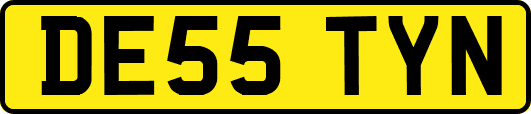 DE55TYN