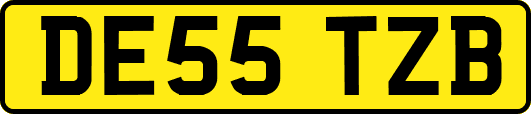 DE55TZB