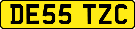 DE55TZC