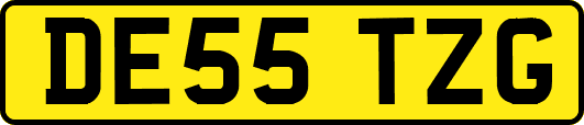 DE55TZG
