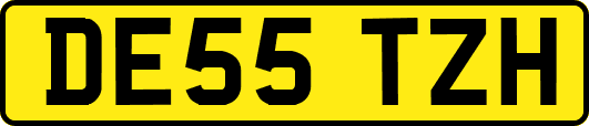 DE55TZH