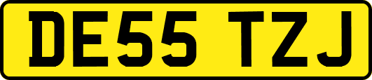 DE55TZJ