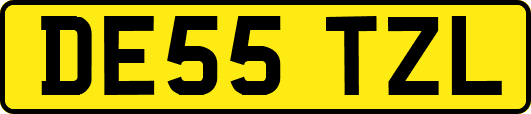 DE55TZL