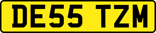 DE55TZM