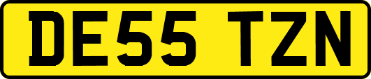 DE55TZN