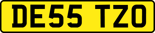 DE55TZO