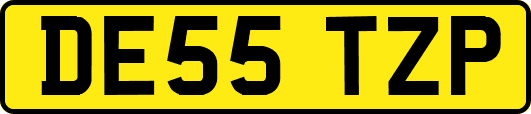 DE55TZP