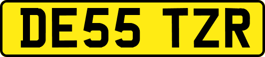 DE55TZR