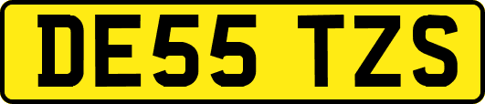 DE55TZS