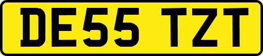 DE55TZT