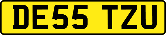 DE55TZU