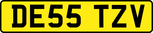 DE55TZV