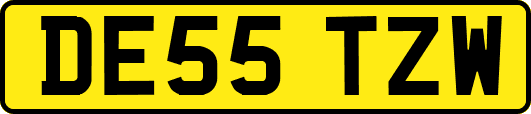 DE55TZW