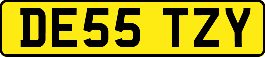 DE55TZY