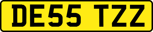 DE55TZZ