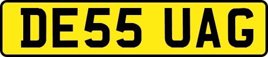DE55UAG
