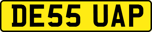 DE55UAP