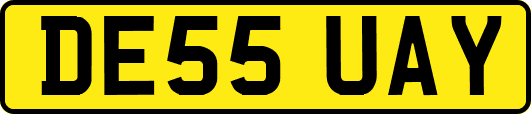 DE55UAY