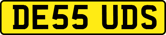 DE55UDS