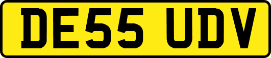 DE55UDV