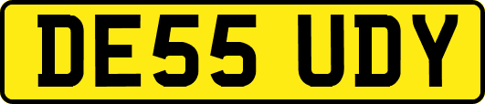 DE55UDY