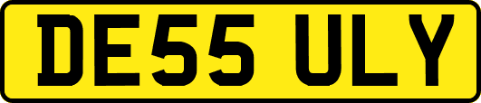 DE55ULY