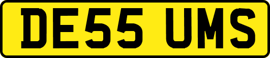 DE55UMS