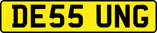 DE55UNG