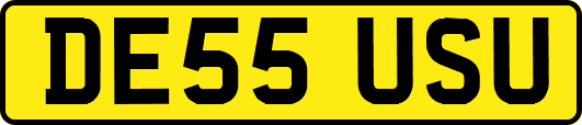 DE55USU