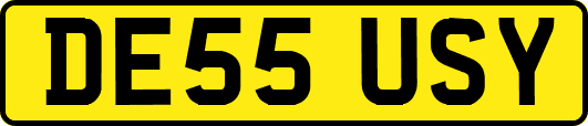 DE55USY