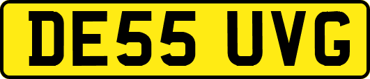 DE55UVG