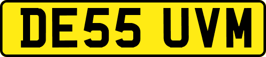 DE55UVM