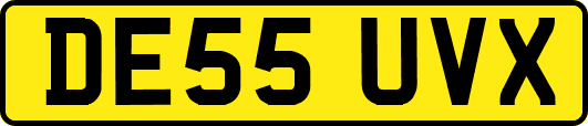 DE55UVX