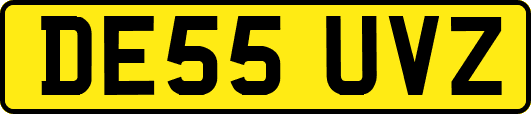 DE55UVZ