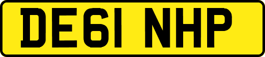 DE61NHP