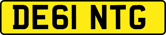 DE61NTG