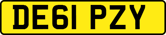 DE61PZY