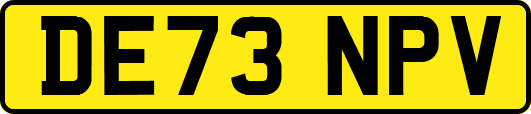 DE73NPV