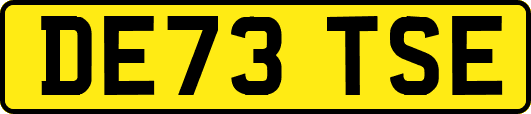 DE73TSE